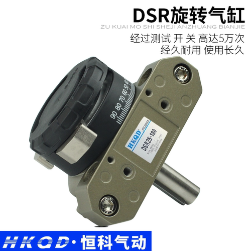 旋转摆动气动气缸系列DSR-25-180  叶片式摆动气缸 - 图1