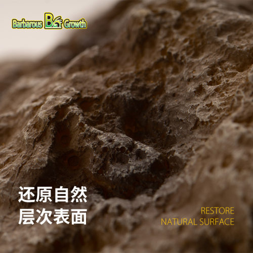 爬宠食盆蜥蜴水盆寄居蟹角蛙泡澡盆姥爷树蛙饲养箱造景饮水盆装饰 - 图2