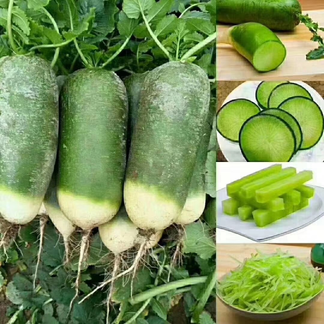 水果萝卜九连城马市岛冰淇淋萝卜新鲜蔬菜青萝卜东北丹东特产美食,淘宝优惠券,粉丝福利购,淘宝优惠卷