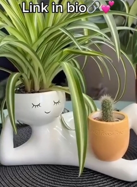 现代树脂多肉小懒桌面花瓶摆件
