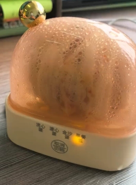 迷你自动断电蒸蛋器煮早餐