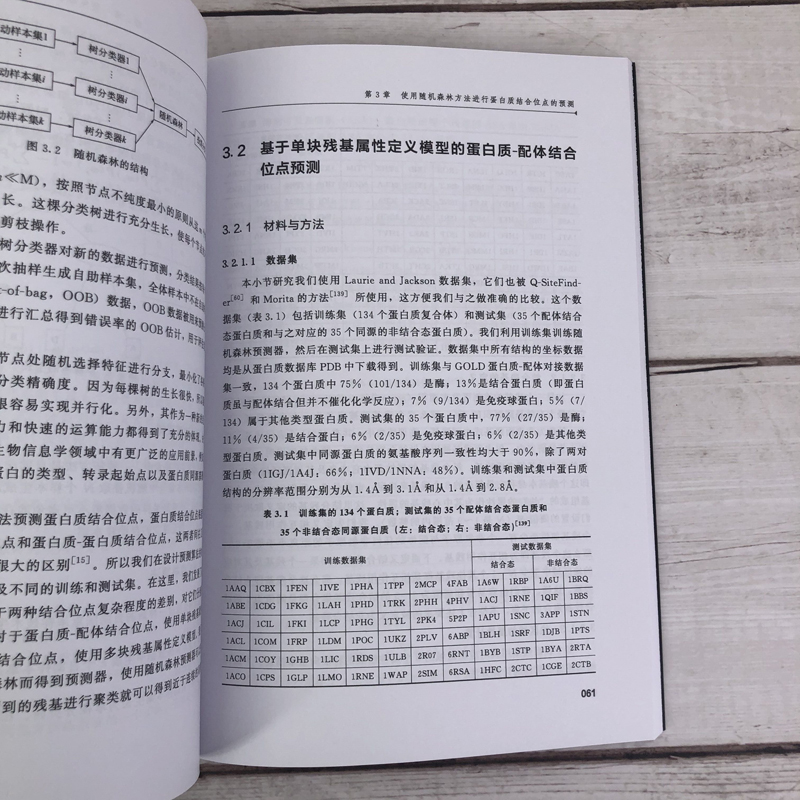 蛋白质结合位点预测及辅助分子对接 蛋白质结合位点识别方案 蛋白质结构与功能 受体相互作用原理 蛋白质生物学功能技术应用书籍 - 图1