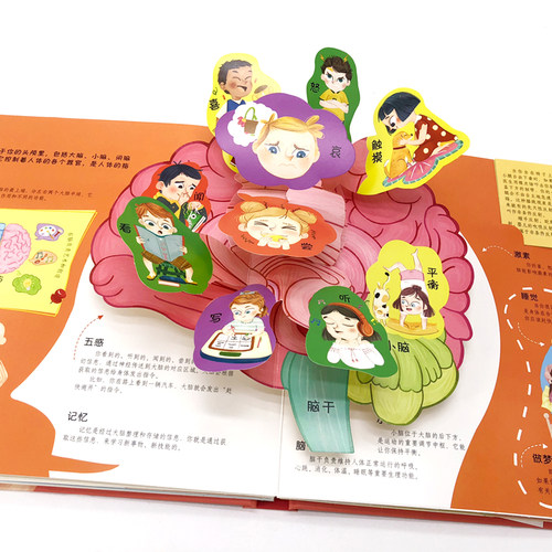 会动的科普立体翻翻书 可爱的身体 3-6-8岁幼儿科普百科读物 医学博士编 启蒙认知 幼儿早教 认识我们身体立体翻翻书 人体认知百科 - 图1