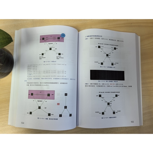 网络运维从入门到精通 第2版 网络工程师技术手册 交换机路由器配置教程 企业网络架构规划 网络安全防护实战 综合布线系统设计书 - 图2