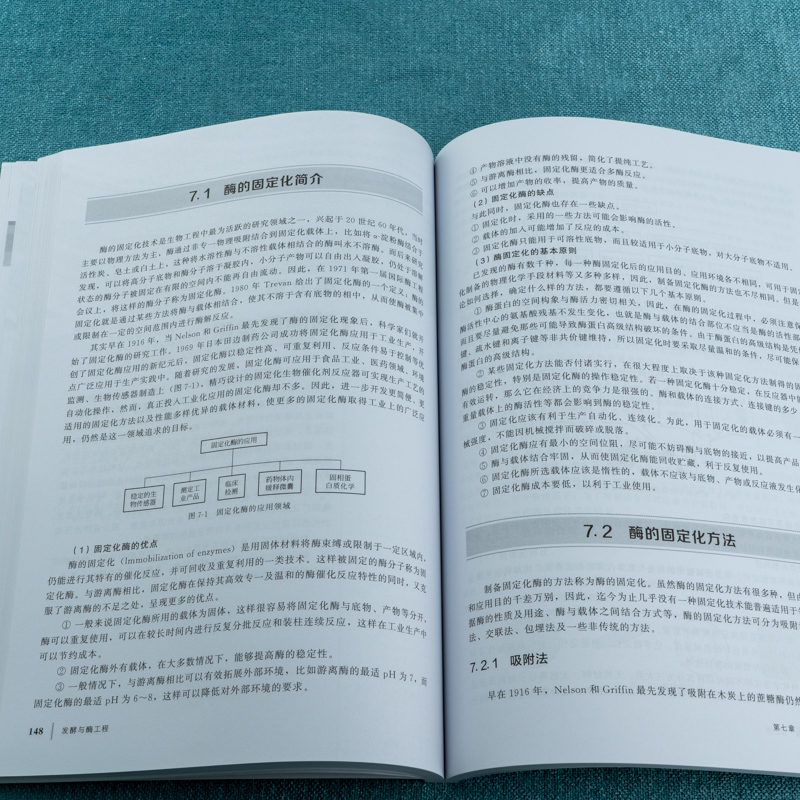 发酵与酶工程李珊珊发酵产酶技术应用技术书籍微生物工程酶化学蛋白质分离纯化技术综合应用型教材酶发酵动力学酶分离纯化技术-图2