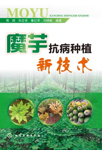 魔芋抗病种植新技术 周燚 魔芋生长习性 魔芋病虫害防治策略 魔芋根腐病防控策略 魔芋种植品种改良策略 魔芋种植实用技术应用书籍 - 图0