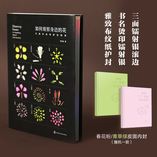现货 如何观察身边的花 有趣的植物解剖图鉴 植物微距摄影 花朵植物生物学习性 花朵文化背景趣味故事科普书 植物科普鉴别识别图鉴 - 图0
