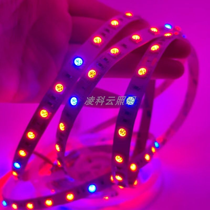 12V24V5050不防水4红1蓝5红1蓝7红1蓝8红1蓝植物草莓多肉LED灯带,淘宝优惠券,粉丝福利购,淘宝优惠卷