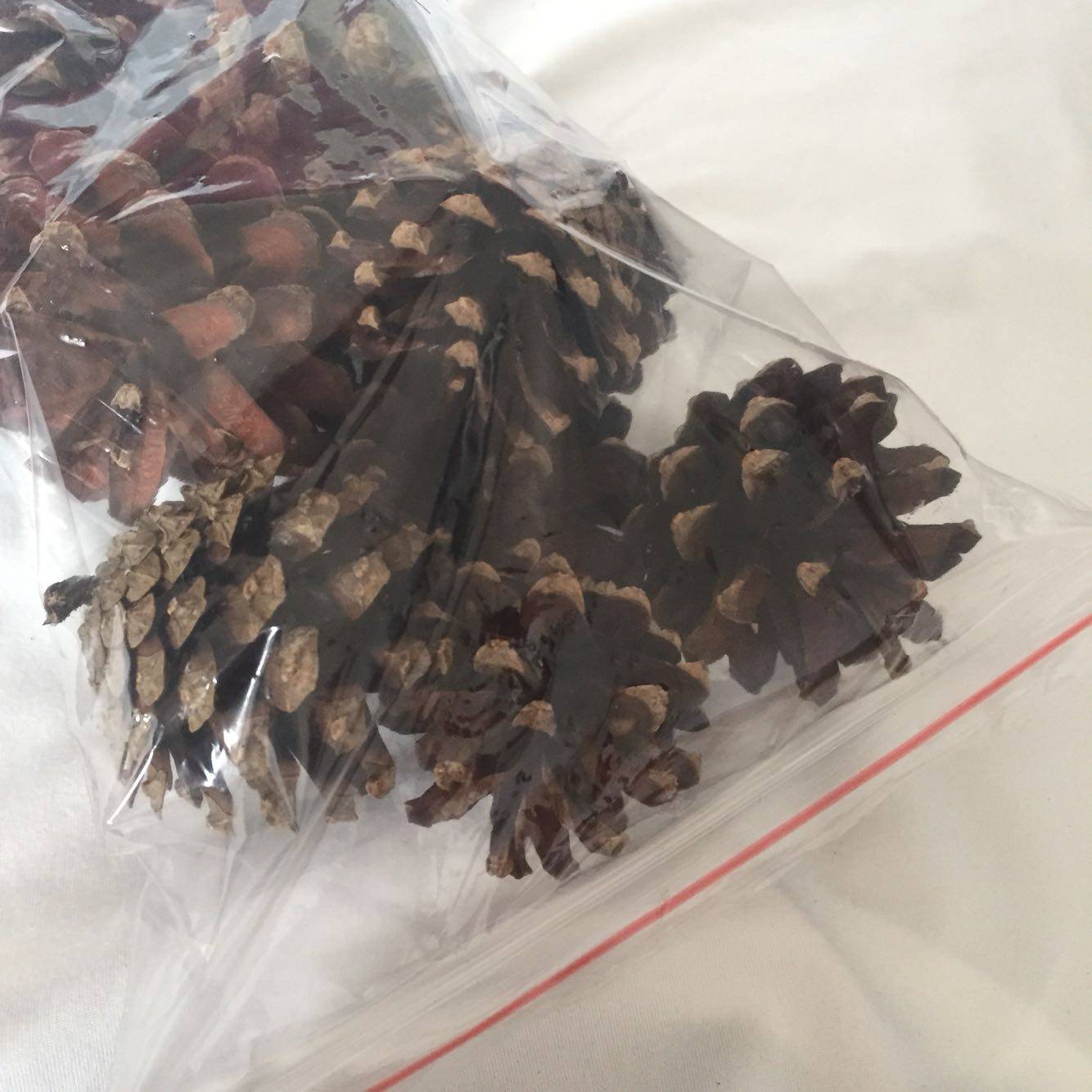 热销天然材料橡果帽橡子落叶松美人松果云杉松手工diy干花包装饰,淘宝优惠券,粉丝福利购,淘宝优惠卷