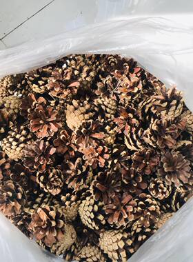 30个美人松果干花包圣诞装饰