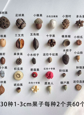 迷你果子1-3cm发夹冰箱贴干果手工diy材料标本果子自然植物果实
