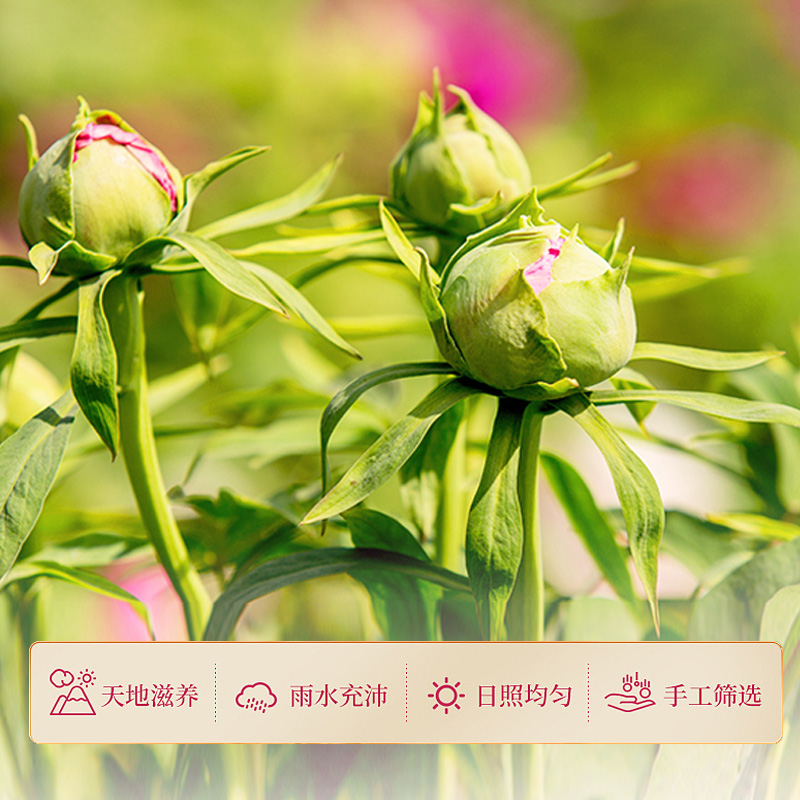 中药饮片重瓣玫瑰花500g茶干花泡茶冠茶茶包大朵袋装-图1