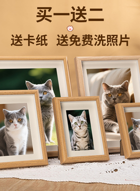 宠物相框免费洗照片diy