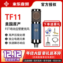 TELEFUNKEN RHYTHM WIND ROOT TF11 Large Zhenfilm Heart type pointing to a capacitive microphone live recording microphone