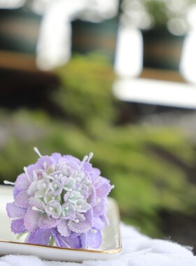 诗阳微花原创饰品定制微钩diy蕾丝线自染色松虫草胸针成品材料包