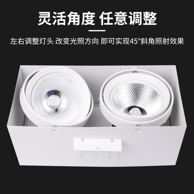 Square Tong Bold Lamp Square Tong Special Lamp Aluminum Wood Square Tong LED Square Double Head Surface Mounted Grille Downlight Spotlight Embedded