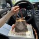 JULIA COURIER ພິມ bucket bag ສ່ວນຫຼຸດ