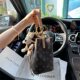 JULIA COURIER ພິມ bucket bag ສ່ວນຫຼຸດ