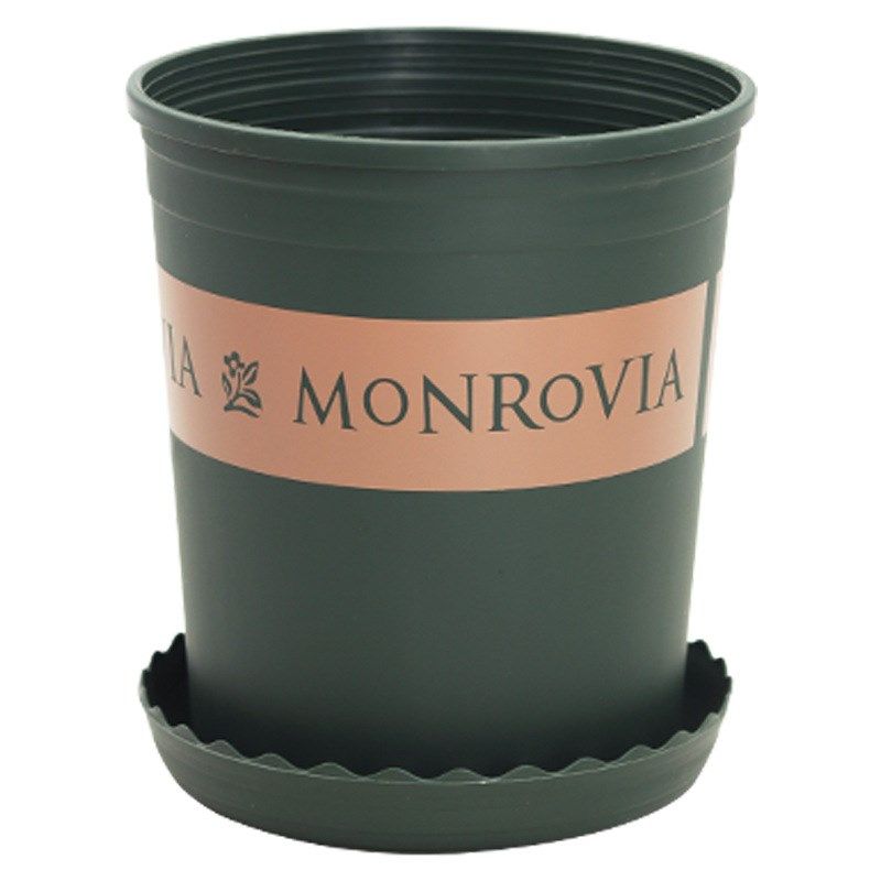 种绣球加仑花盆圆形塑料花盆月季树脂阳台养花种菜矮胖多肉花盆,淘宝优惠券,粉丝福利购,淘宝优惠卷