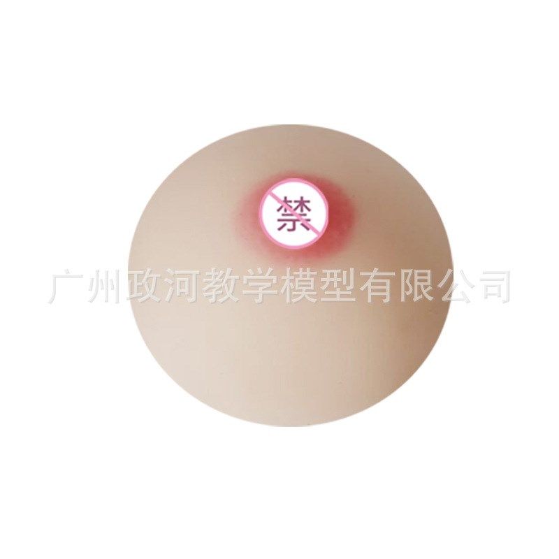 催乳师培训医学用软硅胶假乳房家政技校医院示范教学乳房模型教具,淘宝优惠券,粉丝福利购,淘宝优惠卷