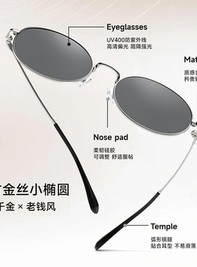 老钱风墨镜书呆子椭圆偏光太阳镜