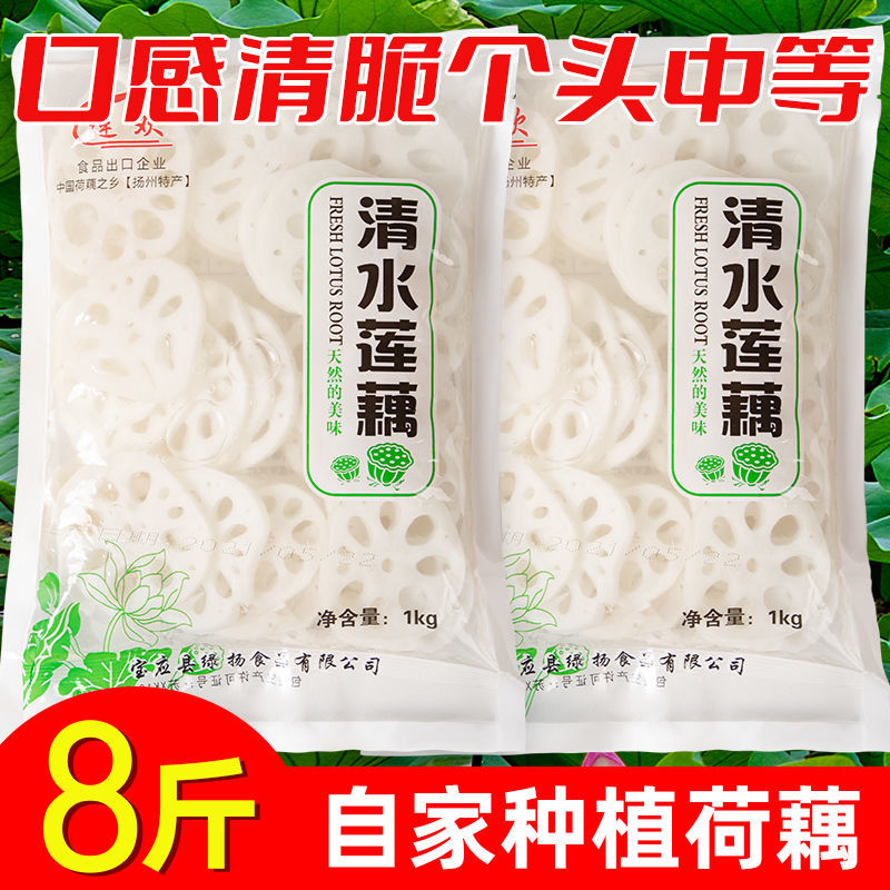 湖北清水莲藕片新鲜藕片冒菜涮火锅麻辣烫油炸烧烤嫩藕凉拌菜食材