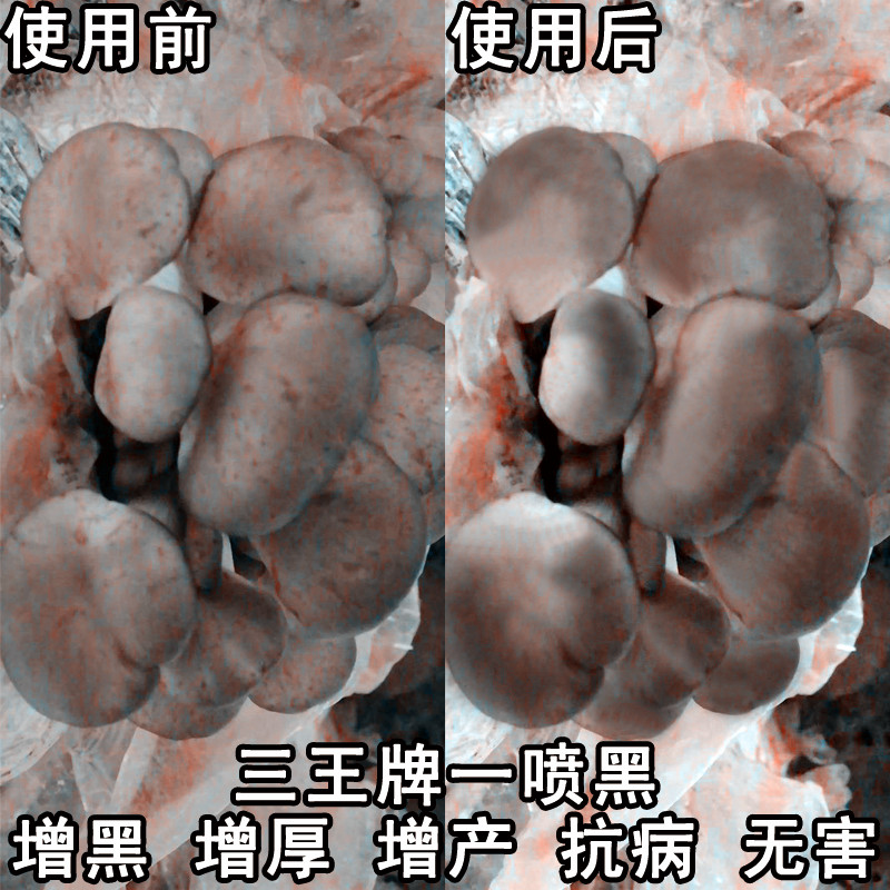 食用菌平菇一喷黑水溶增黑抗病增产叶面肥高温季节慎用整件包邮 - 图3