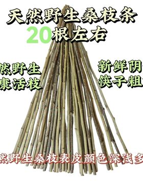 桑枝拍打棒经络拍锤子敲