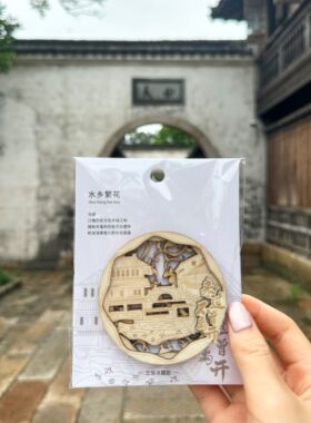 乌镇景区文创冰箱贴木质立体爆款南浔西塘周庄旅游纪念品毕业礼物