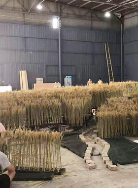 新款水稻麦穗田园五谷丰登干花