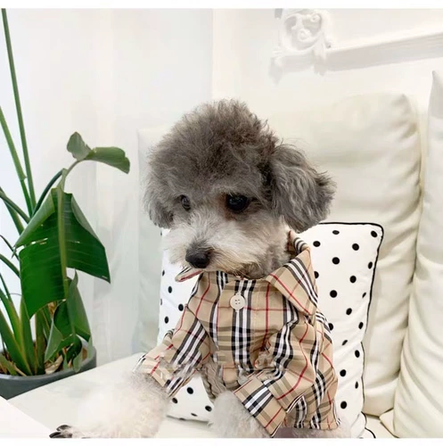 Осенняя тонкая рубашка, в корейском стиле