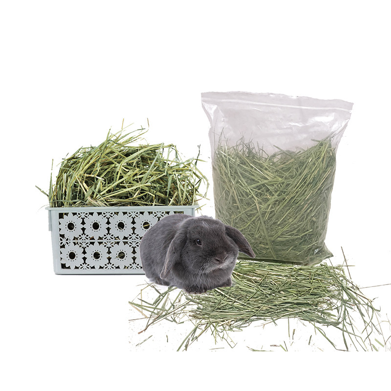 优质国产澳燕麦草一斤袋装宠物兔子草牧草替代提摩西干草,淘宝优惠券,粉丝福利购,淘宝优惠卷