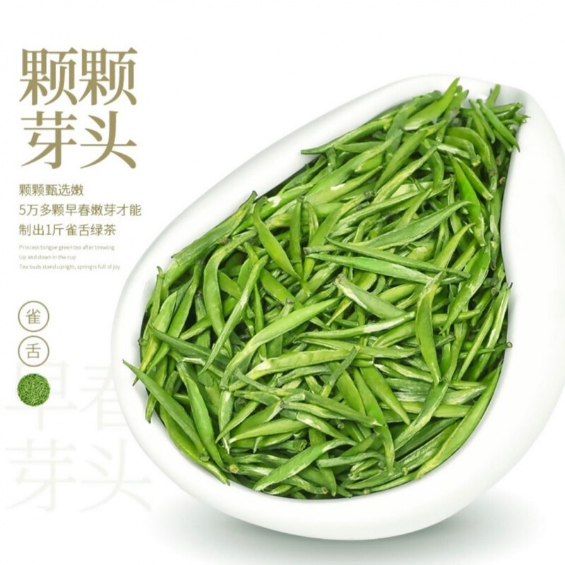 翠竹青叶茶2022新茶明前四川峨眉山绿茶雀舌嫩芽散装精品礼盒250g