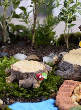 生态瓶植物公仔微景观蘑菇小摆件