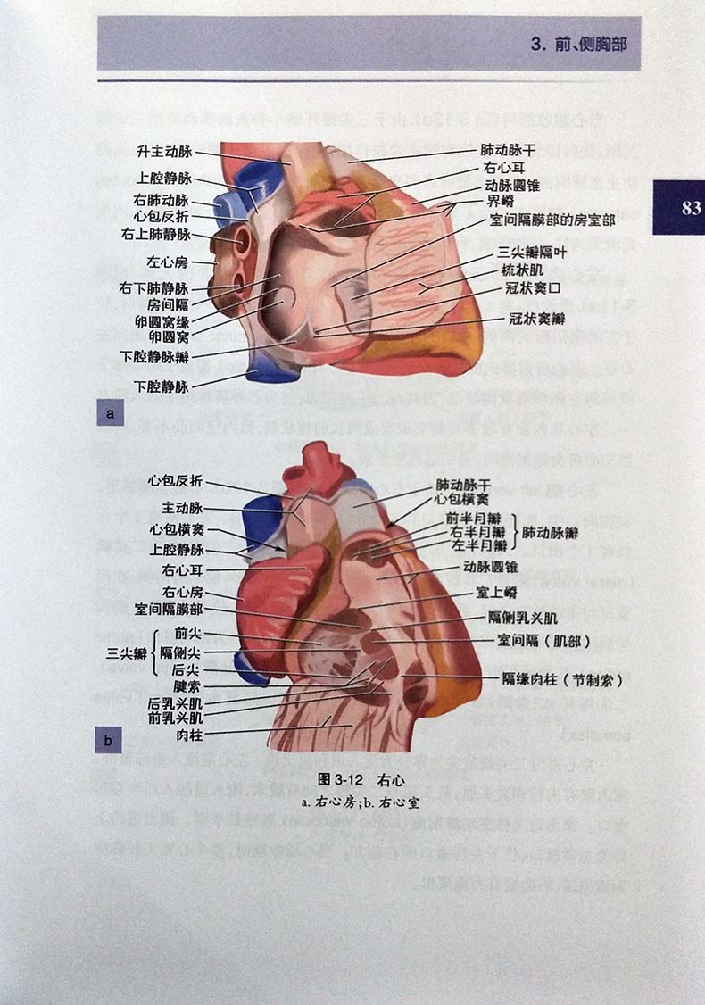 正版现货图解全身体格检查曾锐临床医学 2018年7月创新教材脊柱和四肢体格检查临床实用手册图谱人民卫生出版社医学书籍-图3