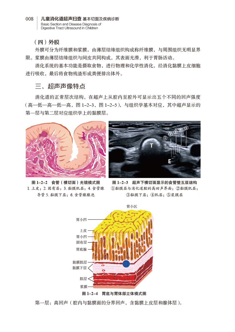 儿童消化道超声扫查基本切面及疾病诊断中国医药科技出版社黎新艳等主编本书可供儿科消化科超声科以及相关专业医师学习参考-图1