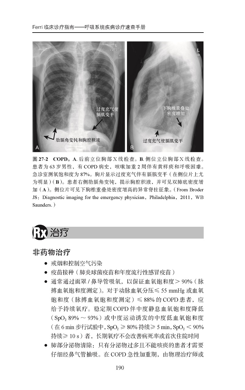 2本套 Ferri临床诊疗指南系列丛书 妇产科疾病诊疗速查手册+呼吸系统疾病诊疗速查手册 躯体咳嗽综合征 北京大学医学出版社 - 图2