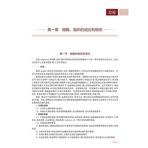 套装单本任选 2026病理学高级教材习题集 主任副主任医师高级职称题库全国高级卫生专业技术资格考试指导步宏王国平人民卫生出版社 - 图2