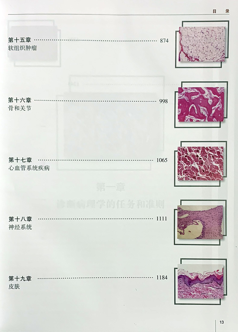 刘彤华诊断病理学 第4版第四版 内容丰富 全面 对不同层次医院病理医生及部分临床医生均有参考价值刘彤华临床实用医学书籍人卫版 - 图2