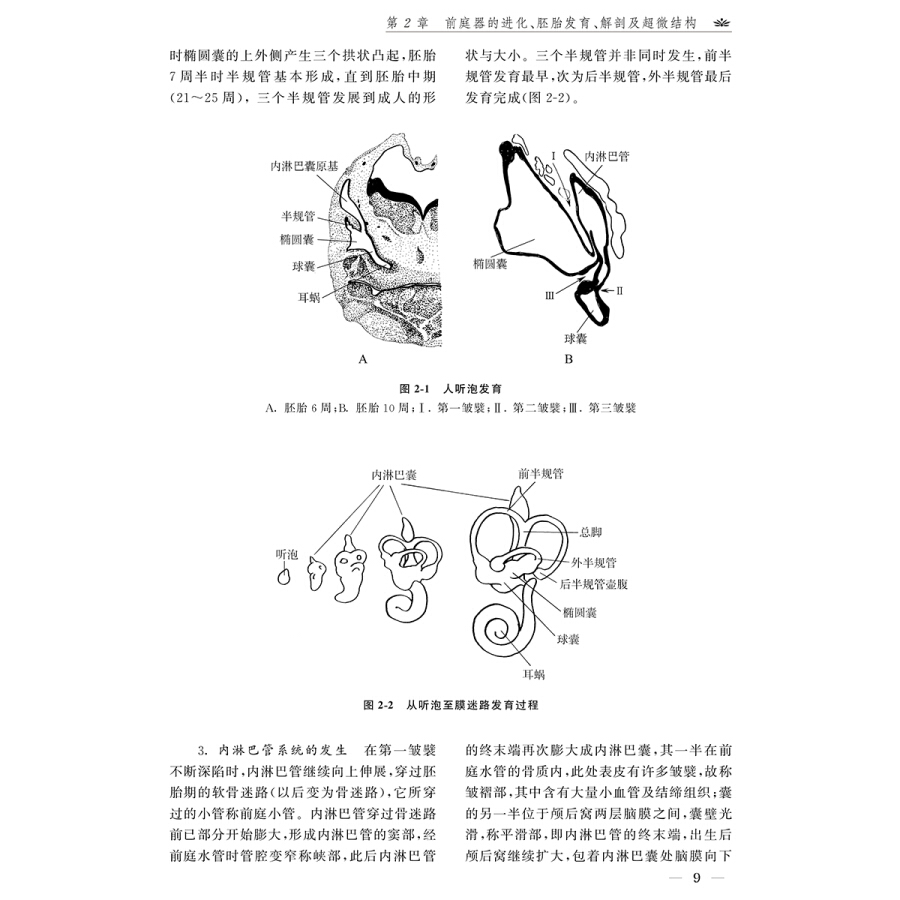 正版现货眩晕症的诊断与治疗第5版张素珍吴子明主编临床实用眩晕诊治学书籍河南科学技术出版社9787534988011-图0