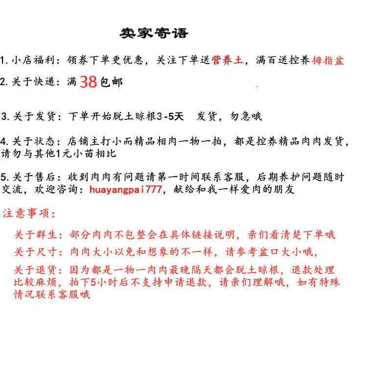 紫乐多肉老桩一物一拍群生多头超大颗悬崖大群室内盆栽花卉花羊派-图3