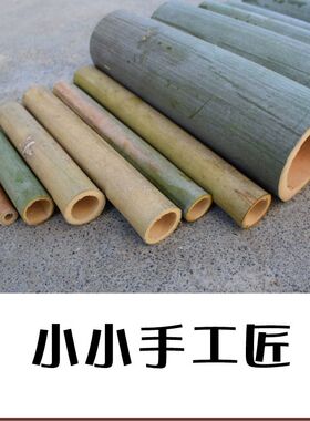 竹筒手工材料幼儿园插画装饰园艺
