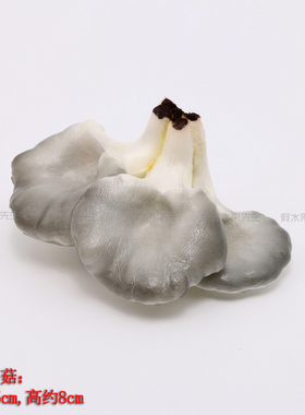 仿真蔬菜假水果食品pu平菇杏鲍菇