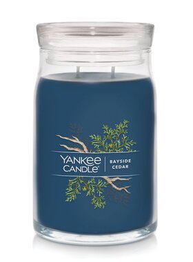 扬基美国雪松车载礼品香薰
