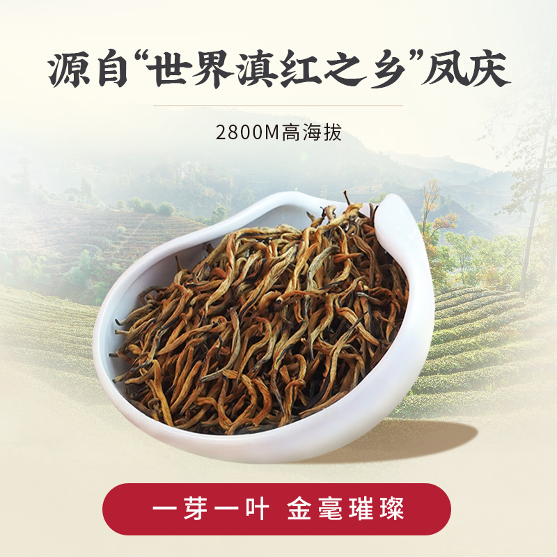 凤牌红茶叶云南正宗凤庆滇红金芽特级蜜香红茶100g罐装茶叶送礼品