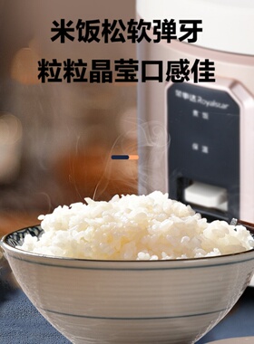 家用简单易控电饭锅3-6人4L容量