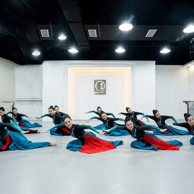 新款少数民族服装蒙古舞蹈演出服套装现代民族风蒙古舞蹈服女鸿雁