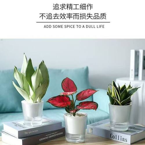 懒人自吸水土培花盆仿玻璃竖纹创意植物绿萝半透明水培加厚树脂盆 - 图3