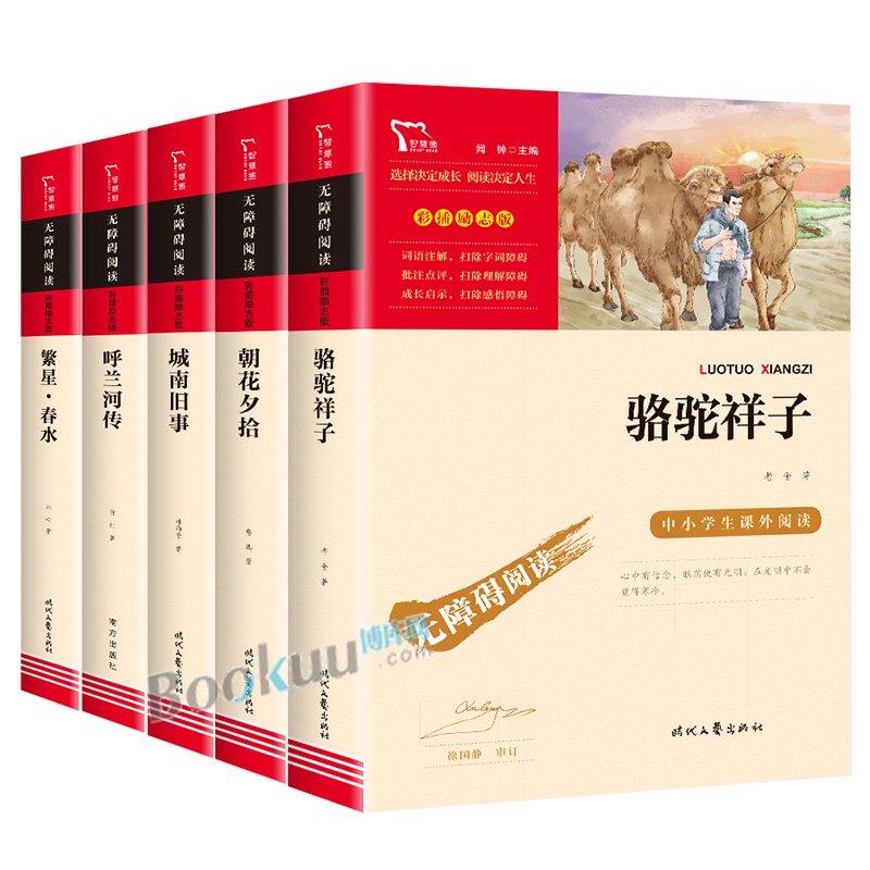 正版5册 朝花夕拾 城南旧事 呼兰河传 繁星春水 骆驼祥子鲁迅林海音原著萧红著全套小学生版四五六七年级中小学生课外阅读书籍名著 - 图0