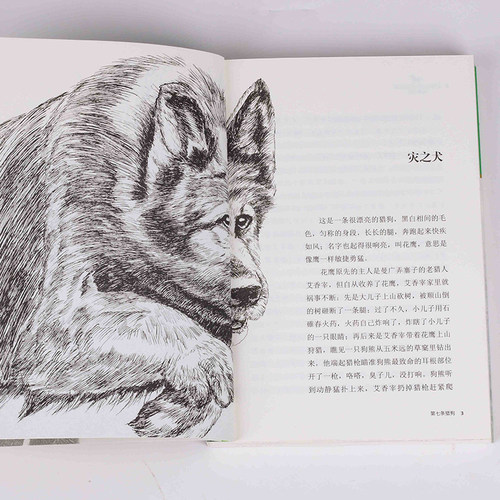 新版 第七条猎狗 沈石溪动物小说品藏书系 青少年课外启发读物教辅 7-9-10-12-15岁中国儿童文学少儿童话故事小学生课外阅读书籍 - 图2
